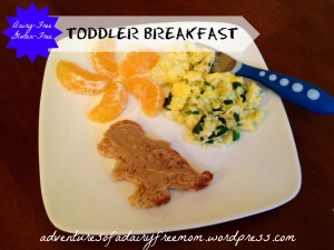 Dairy Free Gluten Free Toddler Dino Breakfast