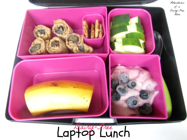 Dairy Free Kids Bento Style Laptop Lunch
